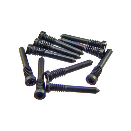 Нижние внешние черные винты для Apple iPhone X/ XS/ XS Max/ XR (10 шт) Нижние внешние черные винты для Apple iPhone X/ XS/ XS Max/ XR (10 шт)