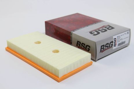 Air Air Golf V/Passat B6/Octavia A5 1,4/1,6 FSI, BSG (BSG90135013)