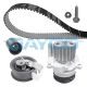 Насос водяной и ГРМ комплект для SKODA SUPERB, SEAT LEON, FORD GALAXY, DAYCO (KTBWP3423)