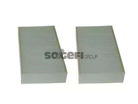 Салонний фільтр BMW X3/X4 10- (вугільний)(к-кт 2 шт), PURFLUX (AH3852)