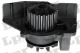 Водяний насос FIAT DUCATO, CITROEN/FI/LA/PEUGEOT, LPR (WP0356) Водяний насос FIAT DUCATO, CITROEN/FI/LA/PEUGEOT, LPR (WP0356)