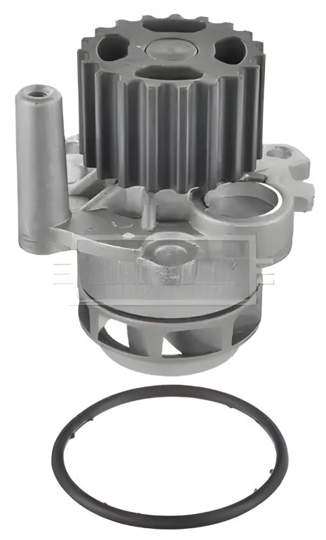 Водяний насос для SKODA SUPERB, AUDI A3, SEAT ALHAMBRA, BORG & BECK (BWP1934) Водяний насос для SKODA SUPERB, AUDI A3, SEAT ALHAMBRA, BORG & BECK (BWP1934)