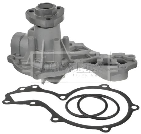 Водяной насос для FORD GALAXY, SEAT CORDOBA, VW SANTANA от BORG & BECK (BWP1113) Водяной насос для FORD GALAXY, SEAT CORDOBA, VW SANTANA от BORG & BECK (BWP1113)