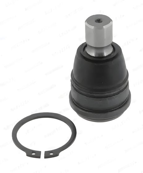 Шарнирная опора FORD B-MAX, MAZDA 2, MOOG (FDBJ8090) Шарнирная опора FORD B-MAX, MAZDA 2, MOOG (FDBJ8090)