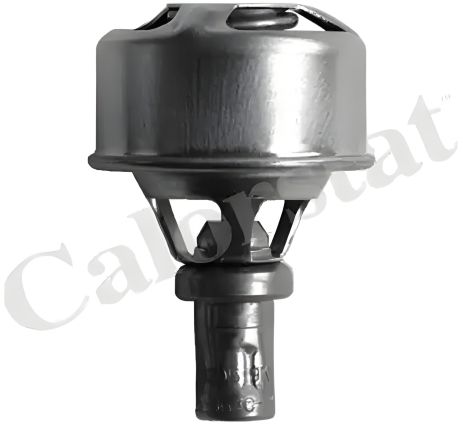 Термостат для RENAULT RODEO від VERNET (TH449583) Термостат для RENAULT RODEO від VERNET (TH449583)