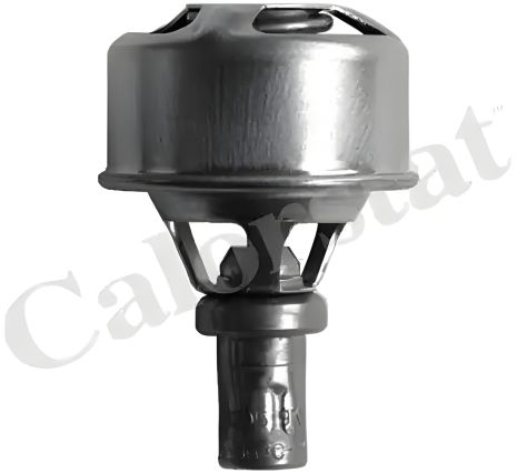 Термостат для Renault Rodeo, VERNET (TH449583)