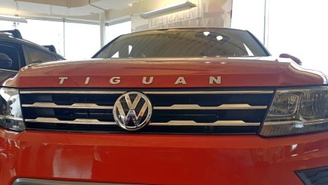 Молдинг, орнамент, лого на капот VOLKSWAGEN TIGUAN, VOTI18LOG