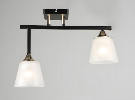 Потолочная люстра Sirius N5704/2 (модерн)