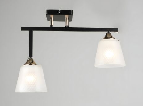 Потолочная люстра Sirius N5704/2 (модерн) Потолочная люстра Sirius N5704/2 (модерн)