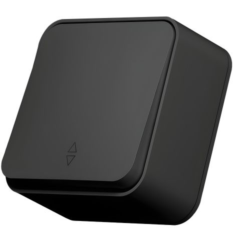 Проходной одноклавишный выключатель VIDEX BINERA IP20, накладной, черный графит Проходной одноклавишный выключатель VIDEX BINERA IP20, накладной, черный графит