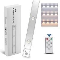 60 см LED светильник 60-2S /глаз кота/ с датчиком движения и освещенности, аккумулятором, пультом ДУ, алюминиевый корпус, 2W Silver