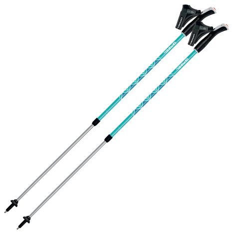 Палки Gabel Ritmo Teal для скандинавской ходьбы (7008350750000)