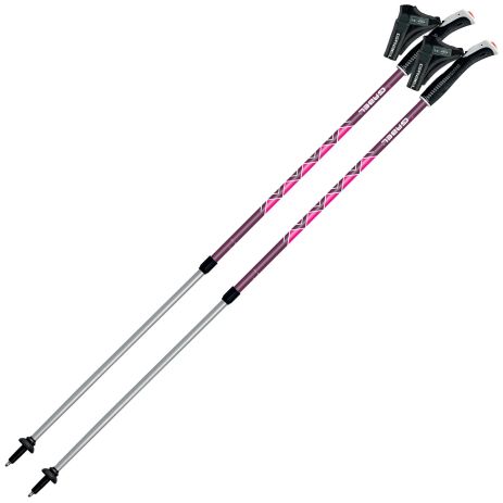 Палки для скандинавской ходьбы Gabel Ritmo Fucsia (7008350770000) Палки для скандинавской ходьбы Gabel Ritmo Fucsia (7008350770000)