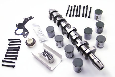 Комплект розподільного валу Audi/VW/Skoda 1.9TDI (AXC/AXB) 03-09, BGA (CS9901SFK)