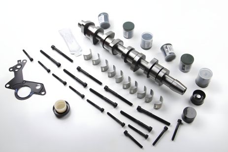 Комплект распределительного вала Caddy/T5 1.9TDI 04- (BSU, BLS) / 2.0TDI (BMM), BGA (CS9503SFK)