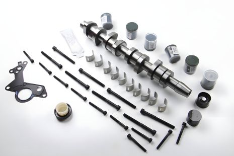 Распределительный вал (комплект) Caddy/T5 1.9TDI 04- (BSU,BLS) / 2.0TDI (BMM), BGA (CS9503SFK)