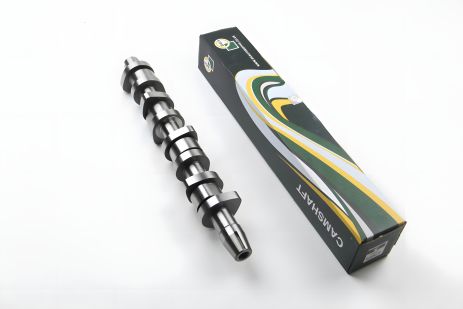 Распределительный вал для T5 1.9TDI (AXC/AXB/) 03-09 от BGA (CS9901)