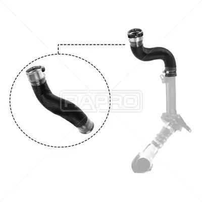 Труба інтеркулера Megane III/Scenic III 1.5DCI 08- (довгий), Рапро (12628)