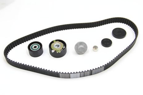 Комплект ГРМ для Kangoo/Logan/Megane/Duster (рем. Conti CT1179), AUTLOG (ZK1032)
