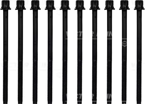 Головки блоку циліндрів болти, VICTOR REINZ (143233901) Головки блоку циліндрів болти, VICTOR REINZ (143233901)