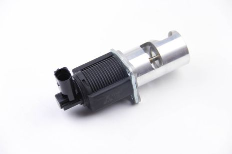 EGR Opel Vivaro/Renault Trafic II, Master II, Laguna II 2.2D/2.5D 00-, Autlog (AV6007)