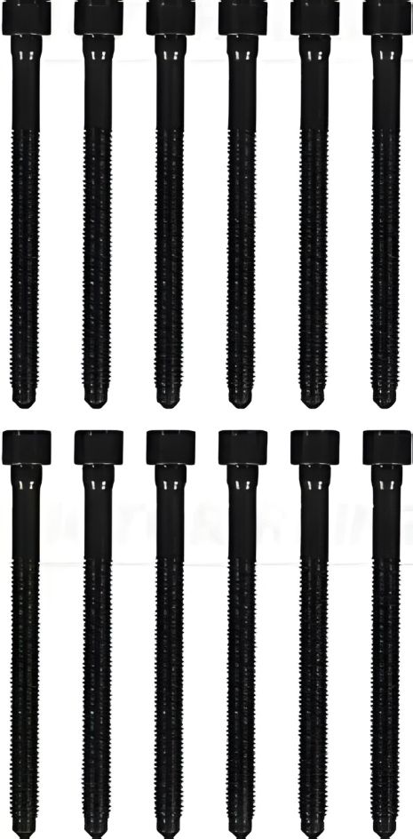 ГБЦ болты, VW Jetta/Passat 2.5 i 06- VICTOR REINZ (143227602)