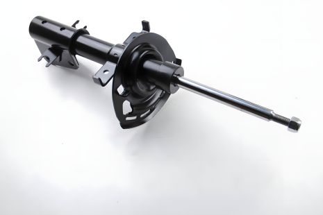 Передній амортизатор Laguna 01-, ASAM (70893)