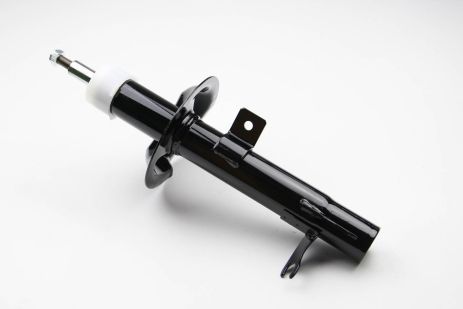 Front Focus 98-R (GAZ), GH-PARTS (GH322548H)