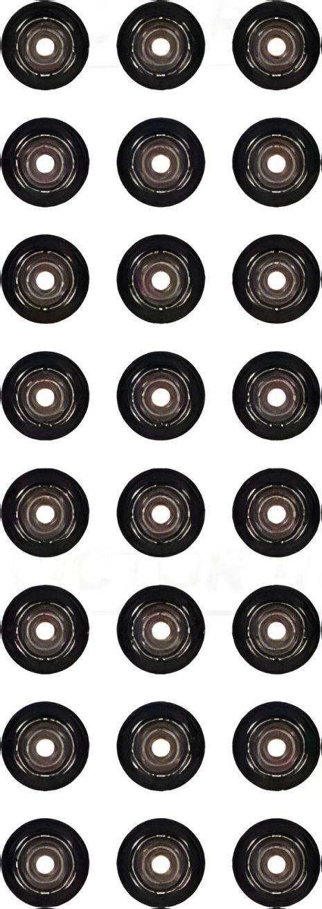 Клапанный сальник, BMW VICTOR REINZ (123686602)