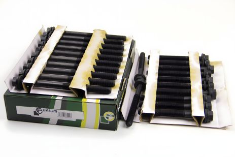 Болты ГБЦ для Ducato/Mavano/Master/Trafic 2.5d/TD 89-01 (комплект) BGA BK6379