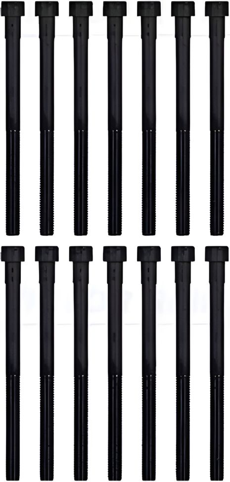 Комплект болтов ГБЦ для MB CEGS-Class, VICTOR REINZ (143202901)