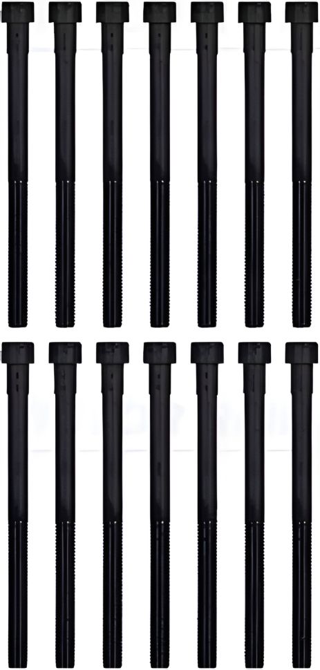 Комплект болтов ГБЦ для MB CEGS-Class, VICTOR REINZ (143202901)