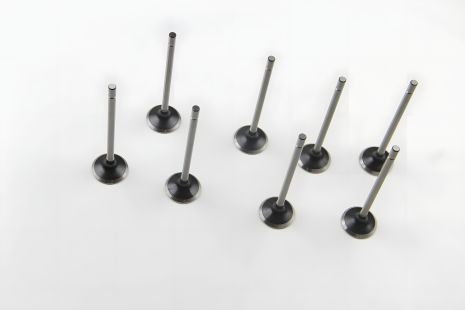 Комплект клапанів (8 шт) випускних Kangoo 1.6 i 16V 01-, ASAM (30470)