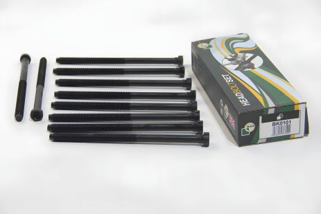 Болти ГБЦ для Audi A3/Octavia/Rapid/Golf 1.6TDI 12-, BGA (BK0101)