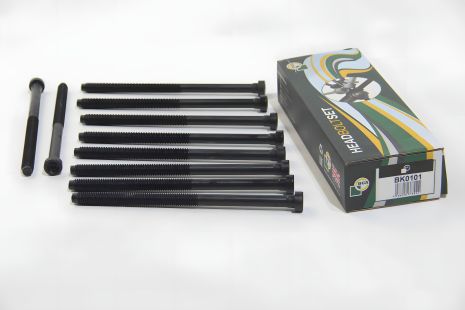 Болты ГБЦ для Audi A3/Octavia/Rapid/Golf 1.6TDI 12-, BGA (BK0101)