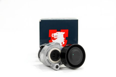 Натяжитель ремня генератора для Kangoo/Megane/Logan 1.5dCi 05- (+AC), JP Group (4318301100)