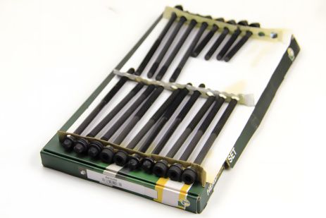Болты ГБЦ для Laguna 2.2D/dT 96-01, BGA (BK5366)