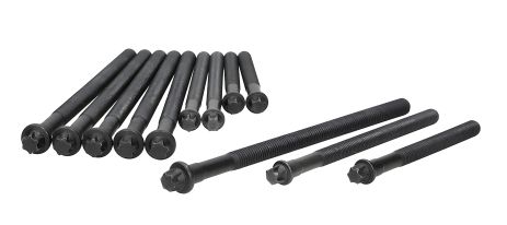 Болти ГБЦ для BMW 1/3/5/X1/X3 1.6-2.0 i 00-15, AJUSA (81044900) Болти ГБЦ для BMW 1/3/5/X1/X3 1.6-2.0 i 00-15, AJUSA (81044900)