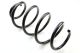Підвіски пружина MERCEDES-BENZ VITO, MERCEDES-BENZ VIANO, CS GERMANY (14319582), пружна Підвіски пружина MERCEDES-BENZ VITO, MERCEDES-BENZ VIANO, CS GERMANY (14319582), пружна