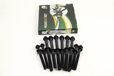 Болты ГБЦ Ducato 2.3 JTD 02- (10 шт.), BGA (BK3371)