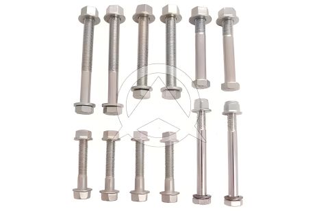 Комплект болтів важеля передньої осі для Audi A4/A6 -05 (12 шт), SIDEM (37386)