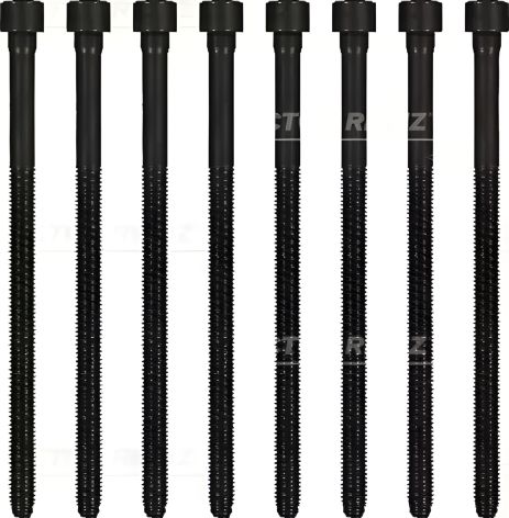 Комплект болтов ГБЦ VW Touareg 3. 0 V6 TSI Hybrid 10-1, VICTOR REINZ (143219801) Комплект болтов ГБЦ VW Touareg 3. 0 V6 TSI Hybrid 10-1, VICTOR REINZ (143219801)