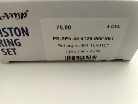 Цельные чугунные кольца AMP Sens 1.3 75,00 стандарт (PR-SEN-44-4125-000) (301-1000101)