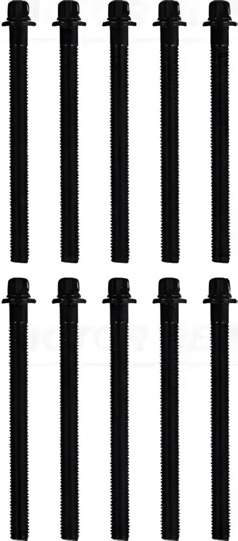 Комплект болтів для ГБЦ BMW 5,7,X5, VICTOR REINZ (143200501)