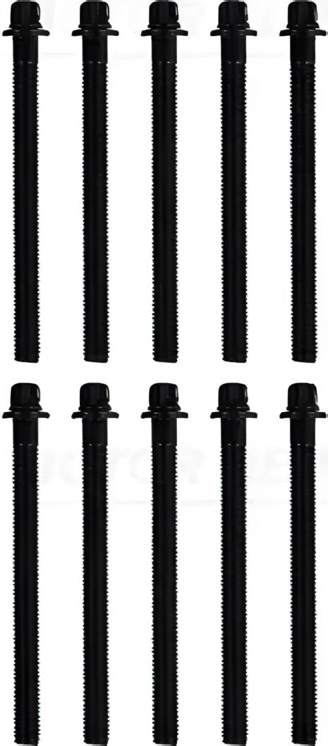 Комплект болтів для ГБЦ BMW 5,7,X5, VICTOR REINZ (143200501)