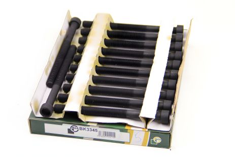 ГБЦ болты T5 2.5TDI 03- (12 шт.), BGA (BK3345)