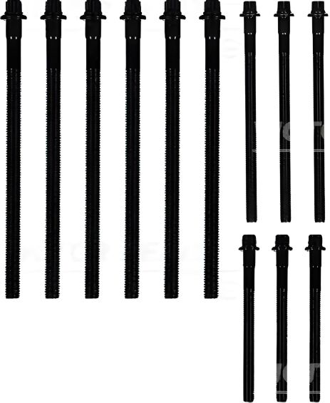 Комплект болтов ГБЦ (12 шт) 6+3+3, VICTOR REINZ (143231401) Комплект болтов ГБЦ (12 шт) 6+3+3, VICTOR REINZ (143231401)