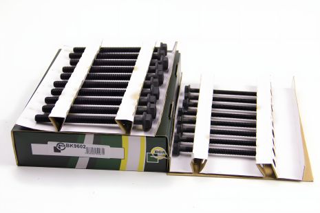 Комплект болтов ГБЦ BGA (BK9602) для Jumper/Boxer/Transit 2.2 Hdi/TDCi 06-