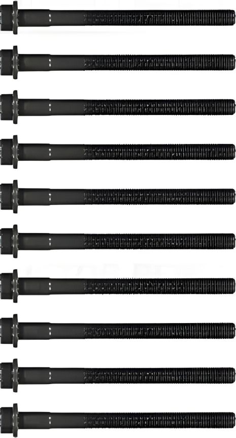 Болти ГБЦ (комплект 10шт.) Citroen Jumper/Jumpy/Fiat D, VICTOR REINZ (143217701)