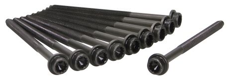 ГБЦ VW болти (10шт.) 1.4-1.6 16V AUA/AHW 98-, AJUSA (81025800) ГБЦ VW болти (10шт.) 1.4-1.6 16V AUA/AHW 98-, AJUSA (81025800)